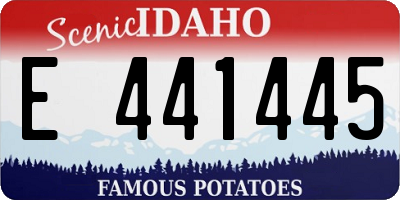 ID license plate E441445