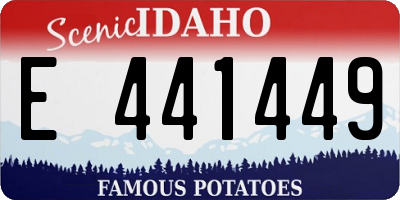 ID license plate E441449