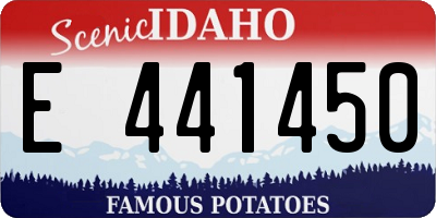ID license plate E441450