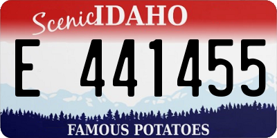ID license plate E441455
