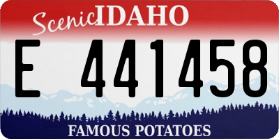 ID license plate E441458