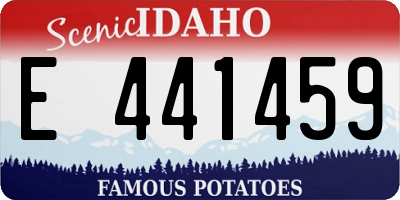 ID license plate E441459