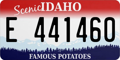 ID license plate E441460