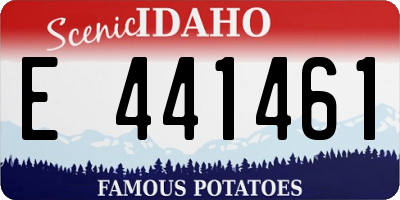 ID license plate E441461