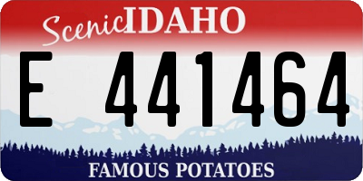 ID license plate E441464