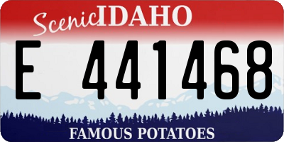 ID license plate E441468