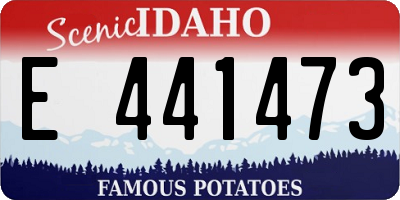 ID license plate E441473