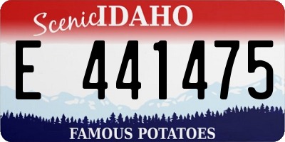 ID license plate E441475