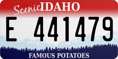 ID license plate E441479