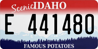 ID license plate E441480
