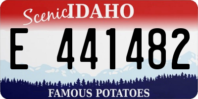 ID license plate E441482