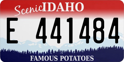 ID license plate E441484