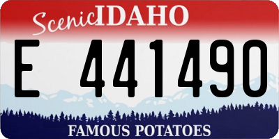 ID license plate E441490