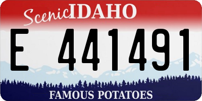 ID license plate E441491