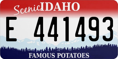 ID license plate E441493