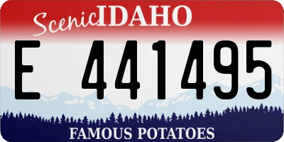 ID license plate E441495
