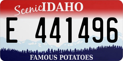 ID license plate E441496