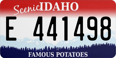ID license plate E441498
