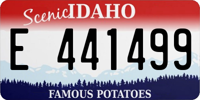 ID license plate E441499