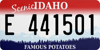 ID license plate E441501