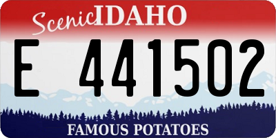 ID license plate E441502