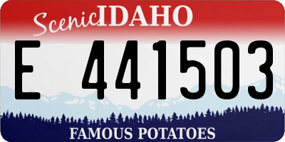 ID license plate E441503