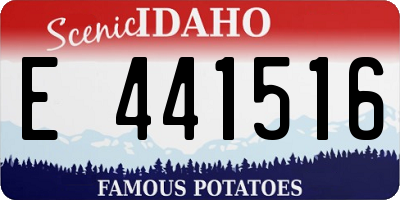 ID license plate E441516