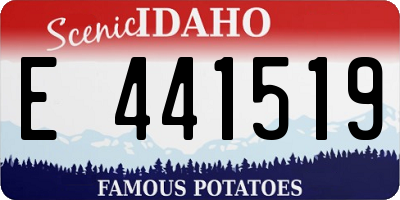 ID license plate E441519