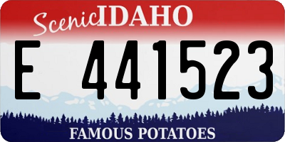 ID license plate E441523