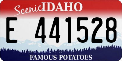 ID license plate E441528