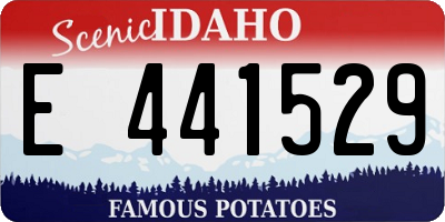 ID license plate E441529
