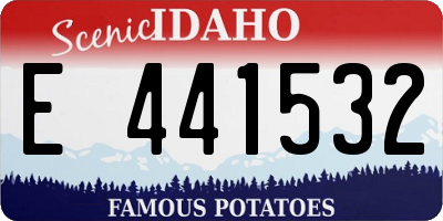 ID license plate E441532