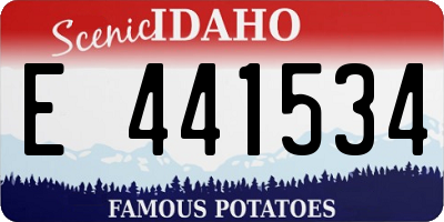 ID license plate E441534