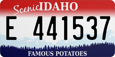 ID license plate E441537