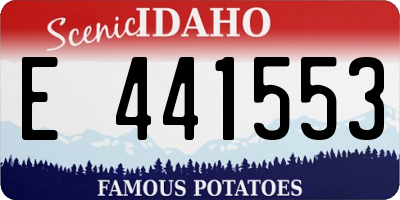 ID license plate E441553
