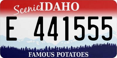 ID license plate E441555