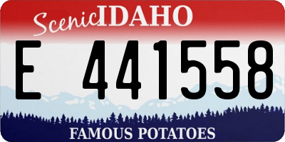 ID license plate E441558