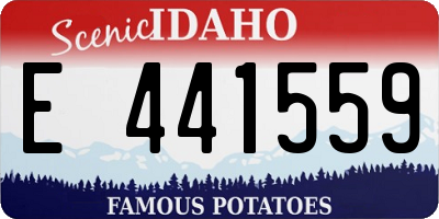 ID license plate E441559