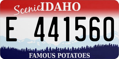 ID license plate E441560