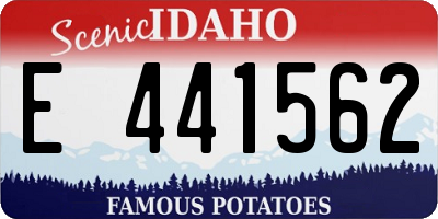 ID license plate E441562