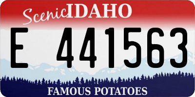 ID license plate E441563
