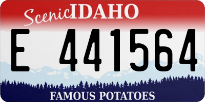 ID license plate E441564