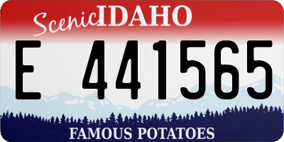 ID license plate E441565