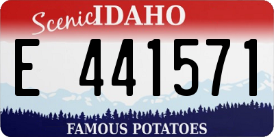 ID license plate E441571