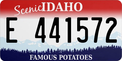 ID license plate E441572