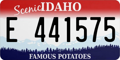 ID license plate E441575