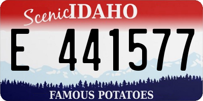 ID license plate E441577