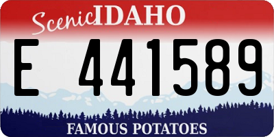 ID license plate E441589