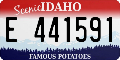 ID license plate E441591