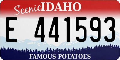 ID license plate E441593